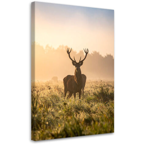 Wandbild Landschaft Hirsch auf der Brunft am Morgen 40x60 cm (1/5)