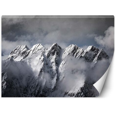 Fototapete Berge im Winter 250x175 cm (1/5)
