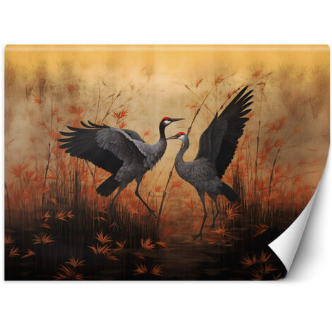 Fototapete Kranich Natur Vögel 200x140 cm