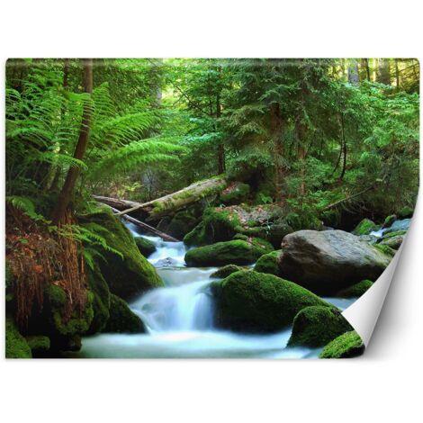 Fototapete Grüner Wald Landschaft 100x70 cm (1/5)