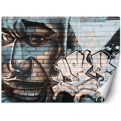 Fototapete Graffiti Gesicht 100x70 cm (1/5)