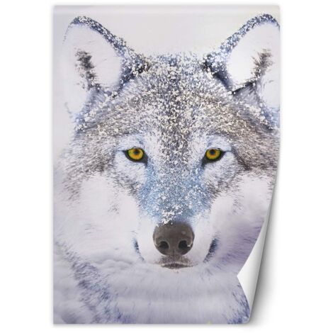 Fototapete Porträt Wolfes im Winter 100x140 cm (1/5)