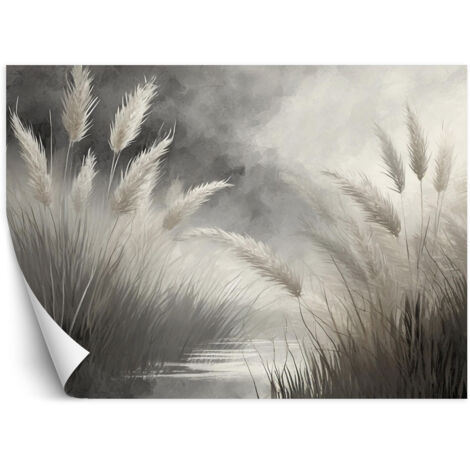 Fototapete Schilfgras Natur Botanik 250x175 cm (1/5)
