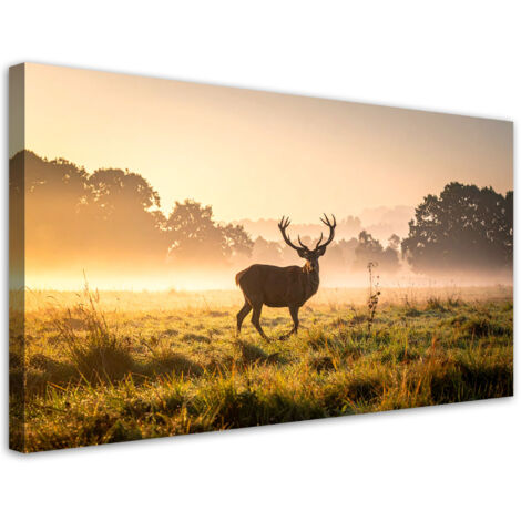 Wandbild Landschaft Hirschbrunft im Nebel 100x50 cm (1/5)