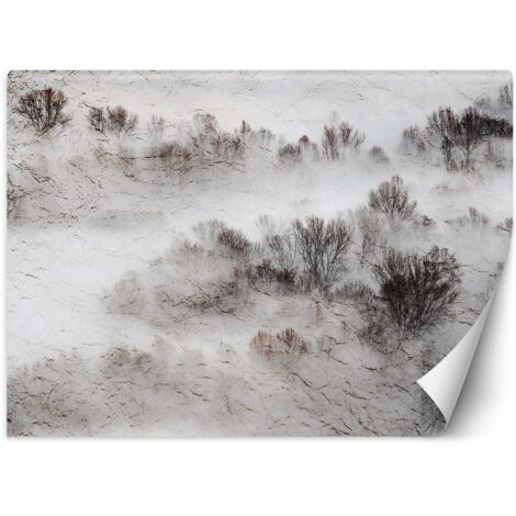 Fototapete Wiese Nebel Bäume Natur 300x210 cm (1/5)