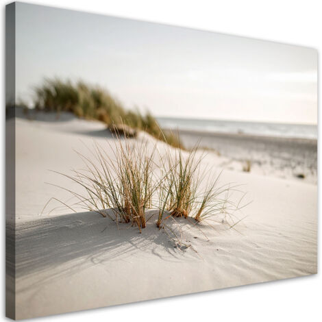 Wandbild Strand Meer Dünen Natur Pflanzen 60x40 cm