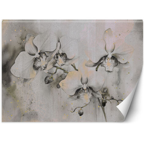 Fototapete Blühende Orchideen abstrakt 400x280 cm (1/5)
