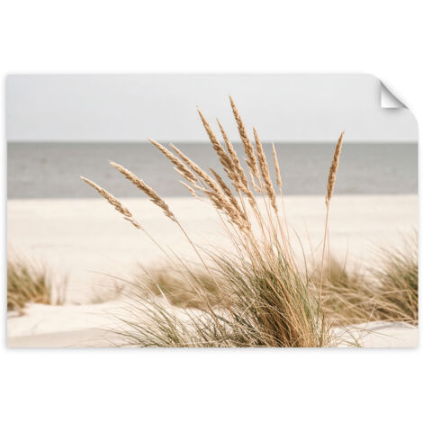 Selbstklebendes Poster – Wandsticker Strand Meer Pflanzen Natur Beige 100x70 cm