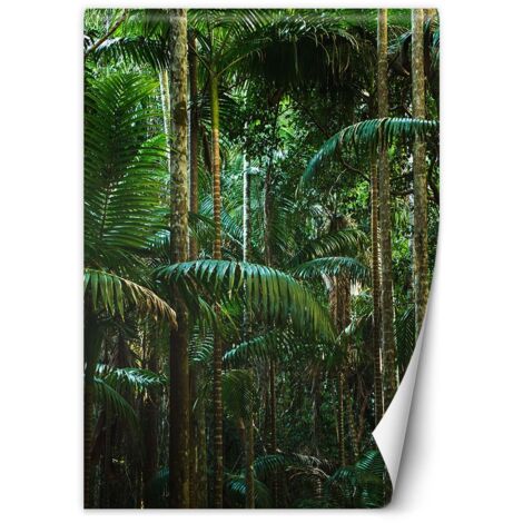 Fototapete Tropische Bäume auf der Insel 150x210 cm (1/5)