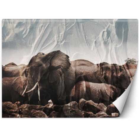 Fototapete Elefanten Afrika Tier Natur 100x70 cm (1/5)