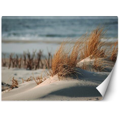 Fototapete Strand See Dünen Landschaft 300x210 cm (1/5)