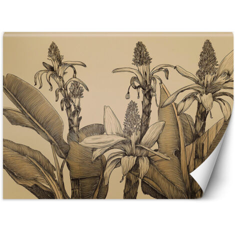 Fototapete Blumen Pflanzen Vintage 350x245 cm (1/5)