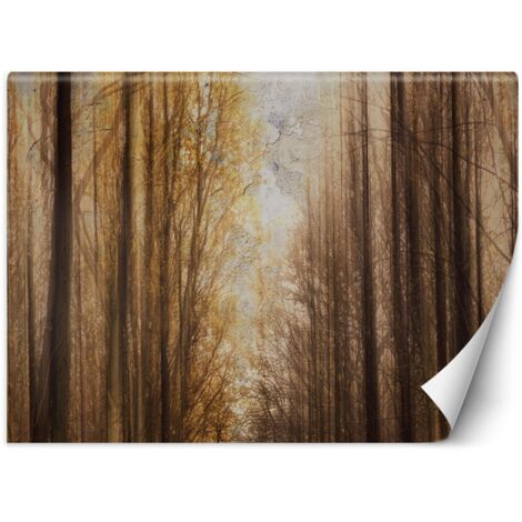 Fototapete Wald Herbst Bäume Natur Braun 400x280 cm (1/5)