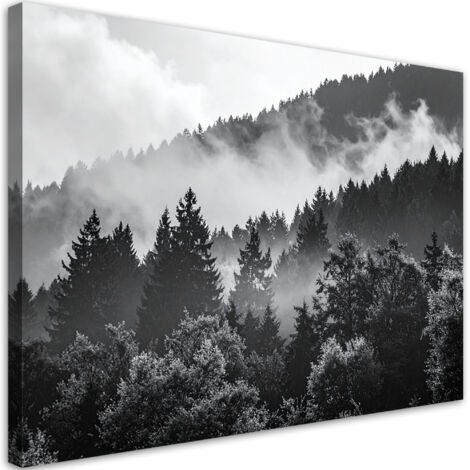 Wandbild Wald im Nebel schwarz-weiß 60x40 cm (1/5)
