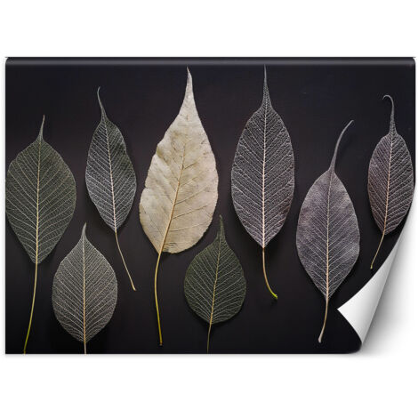 Fototapete Minimalismus Blätter Glamour-Pflanzen 200x140 cm (1/5)