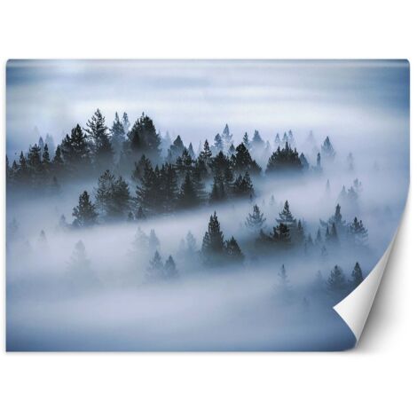 Fototapete Wald im Nebel 300x210 cm (1/5)
