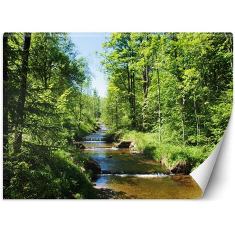 Fototapete Fluss Wald Natur Baume 300x210 cm (1/5)