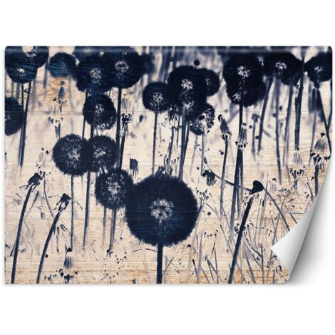 Fototapete Monochrome Pusteblumen auf Brettern 250x175 cm (1/5)