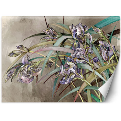 Fototapete Iris Blumen Betonoptik Struktur 350x245 cm (1/5)