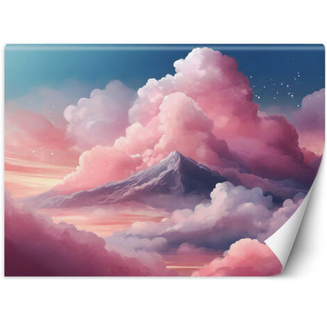 Fototapete Rosa Wolken und Himmel 250x175 cm (1/5)