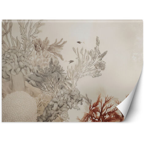 Fototapete Meeresfische und -pflanzen 150x105 cm