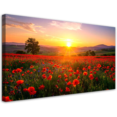 Wandbild Mohnblumen auf einer Wiese Sonnenuntergang 80x40 cm (1/5)
