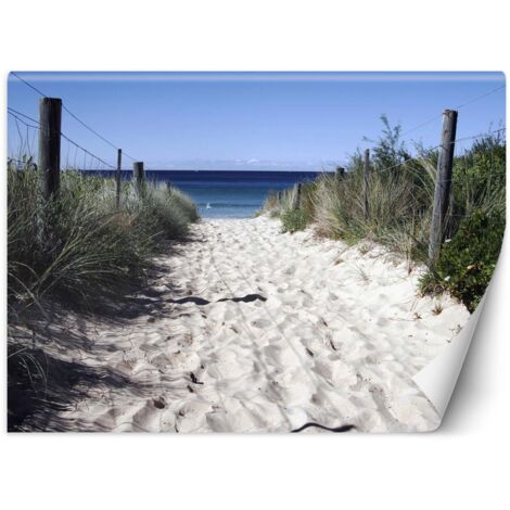 Fototapete, Straße zum Strand, Dünen, Sand – 350 x 245