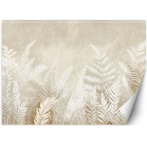 Fototapete Beige Farnblätter Federn Boho-Stil 150x105 cm