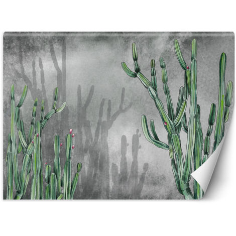 Fototapete Atacama Cactus Betonwand Grau Grün 300x210 cm (1/5)