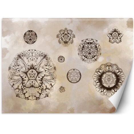 Fototapete Blumen Geometrische Formen Beige Braun 300x210 cm (1/5)