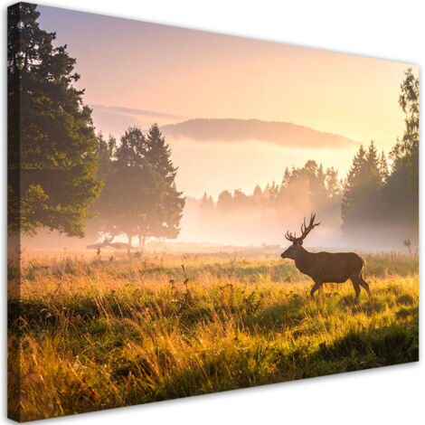Wandbild Landschaft Hirsch im Brunftgebiet im Nebel 60x40 cm (1/5)