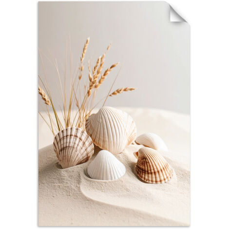 Selbstklebendes Poster – Wandsticker Muscheln Pflanzen Natur Boho 20x30 cm