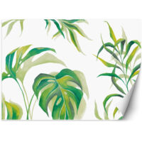 Fototapete Monstera Blatt Pflanzen Grün 300x210 cm