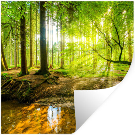 ADHESIVO DE PARED Bosque - Paisaje - Agua - Árboles - Sol - Verde - Naturaleza 50x50