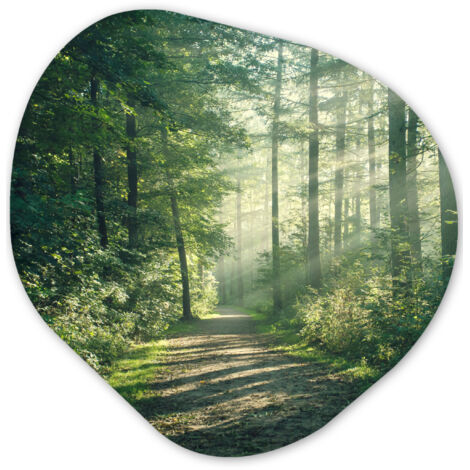 EL CUADRO Bosque - Camino - Sol - Árboles - Verde - Naturaleza Decorativos de Salon 60x60 (1/4)