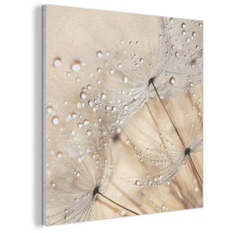 CUADRO ACÚSTICO Diente de león - Abstracto - Naturaleza - Beige Cuadros Decoracion Salon Modernos 90x90