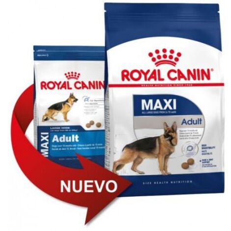 Pienso ROYAL CANIN MAXI ADULT perros de tamaño grande (Desde 15