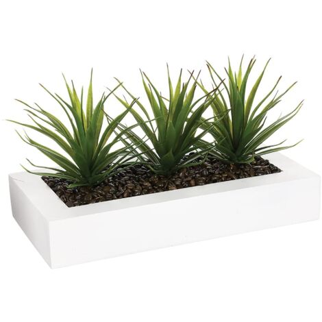 Centro de mesa - 3 Aloe Vera - Altura 17 cm