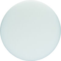 Bosch 1 608 613 013 - Esponja de pulido con rosca M 14-160 mm (pack de 1)