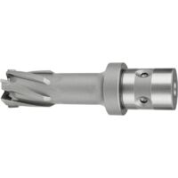 Fresa HM QuickIn Ø 17x35mm Fein