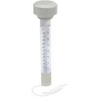 Termómetro flotante para piscina Bestway