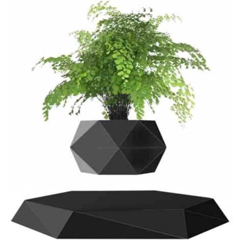 Plante en Lévitation Plante Flottant Air Bonsaï Jardinière de Pot de Fleur de Suspension pour la décoration de Bureau (1/5)