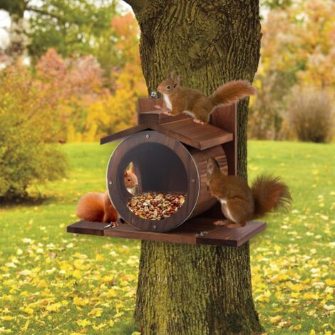 Mangeoire pour écureuils résistante aux intempéries avec fenêtre rond transparent stable pour l'extérieur avec trous d'aération pour fixation sur arbre ou clôture