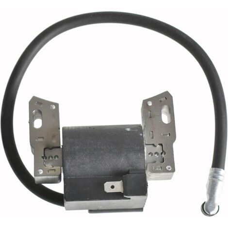 Bobina di accensione per Briggs Stratton 591420 398593 496914 793281 793295 09I602 Bobina di accensione per tosaerba