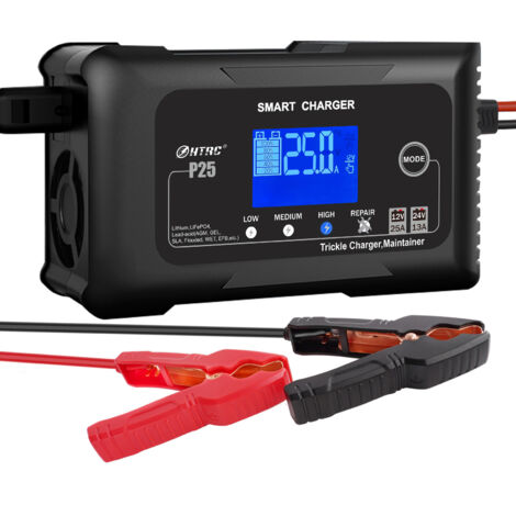 Caricabatteria per auto 25A, caricabatteria per auto 12V/24V, manutentore e desolfatore per auto, moto, tosaerba, barca, litio, LiFePO4 e piombo acido (AGM, GEL, MF, EFB, SLA, VRLA)