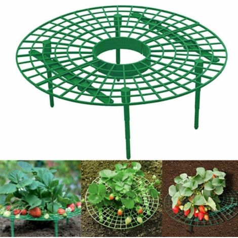 Supporto per telaio per fragole da 6 pezzi, supporto per piantagione, supporto per piante per sollevare la frutta (1/5)
