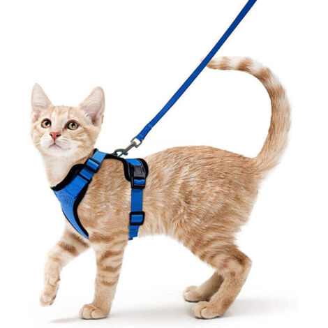 Gilet riflettente traspirante regolabile per gattini, collare, pettorina e guinzagli, sicurezza anti-fuga per conigli, gatti e cuccioli (XS, blu)