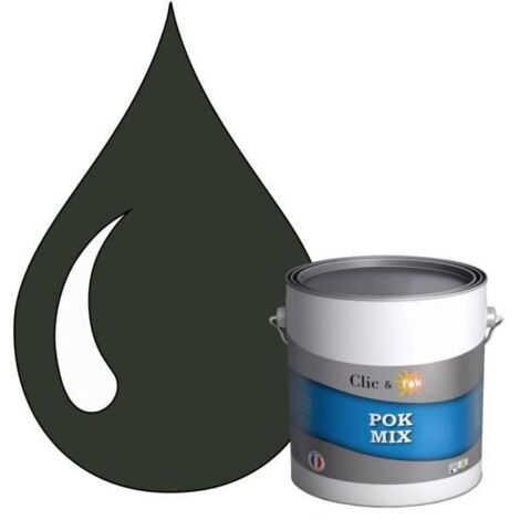 Peinture d'Accroche et Finition 2 en 1 - POK - RAL 6009 - Vert Sapin - Satiné - 3L (1/4)