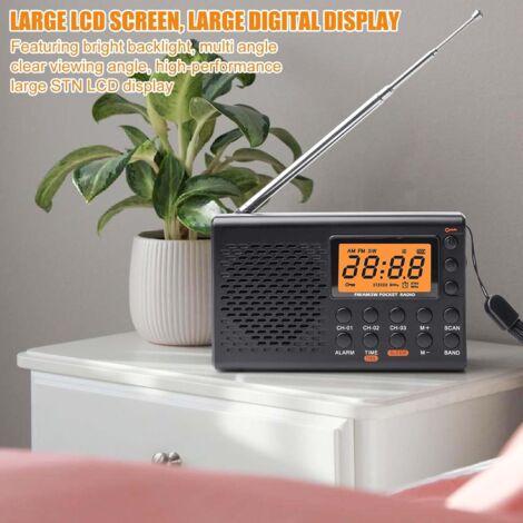 Radio Portable Panasonic RF-2400DEB-K AM/FM - Noir - AC/DC