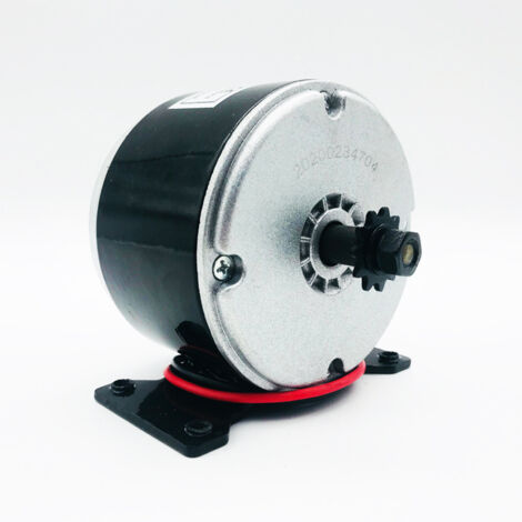 Motor eléctrico de 24 V y 250 W con imán permanente, generador de scooter para PMA (1/4)